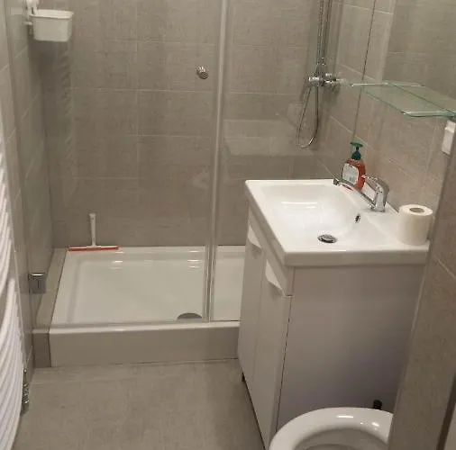 Apartmanovy Dom Rodiny Boejtoes 파틴체