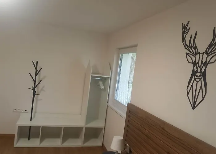 아파트 Apartmanovy Dom Rodiny Boejtoes 파틴체