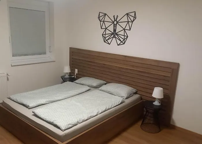 Apartmanovy Dom Rodiny Boejtoes 파틴체