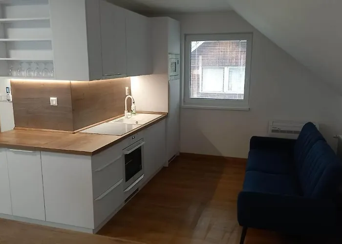 Apartmanovy Dom Rodiny Boejtoes 파틴체