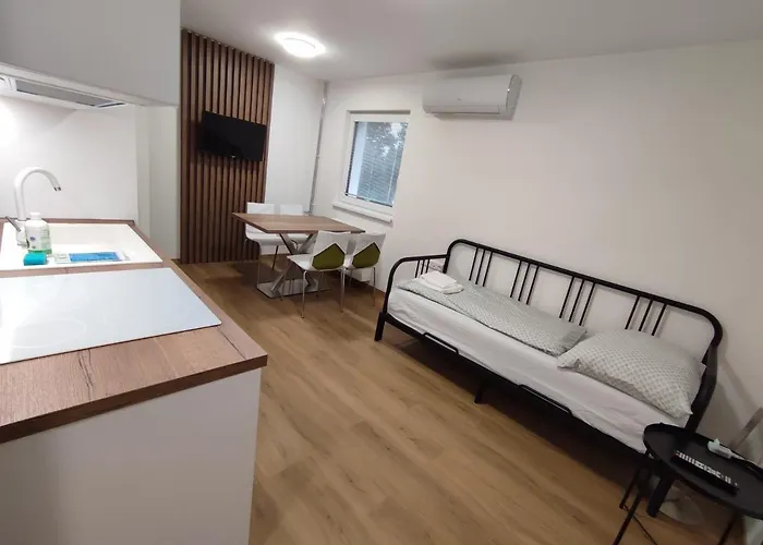 Apartmanovy Dom Rodiny Boejtoes 파틴체