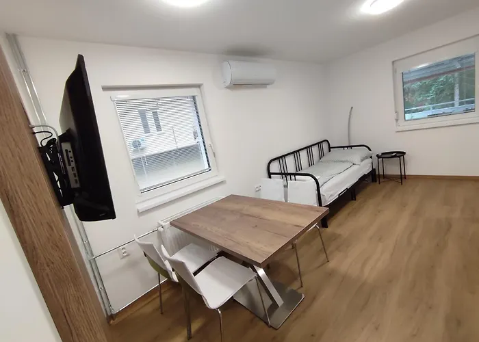 Apartmanovy Dom Rodiny Boejtoes 파틴체