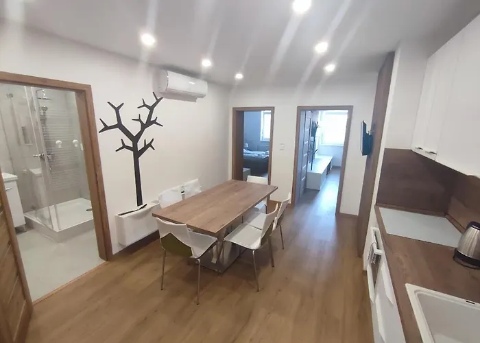 Apartmanovy Dom Rodiny Boejtoes 아파트 파틴체